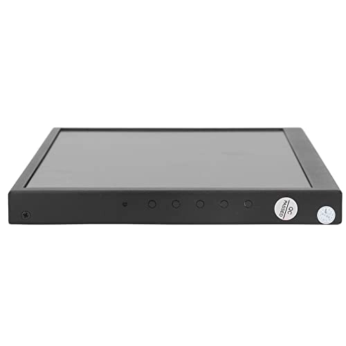 10.1in Portable Screen