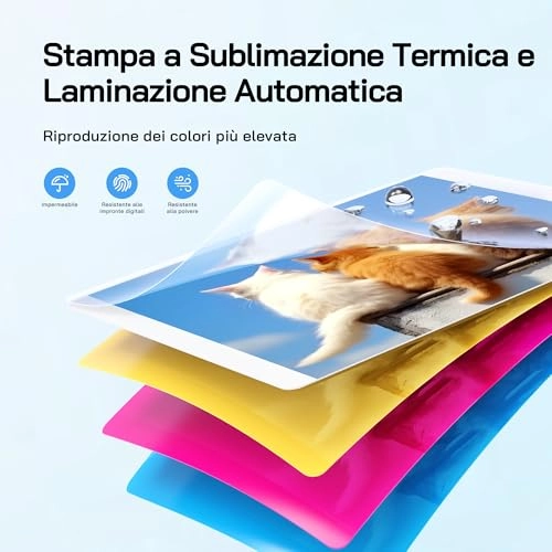 WPP01 - 15.24*10.16cm