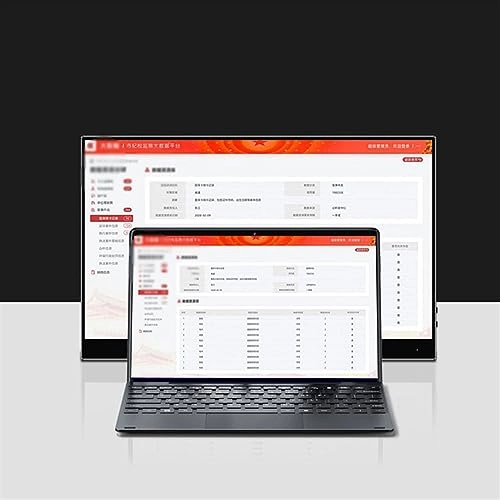 Portable Monitor - 1920*1080p 17.3 inch