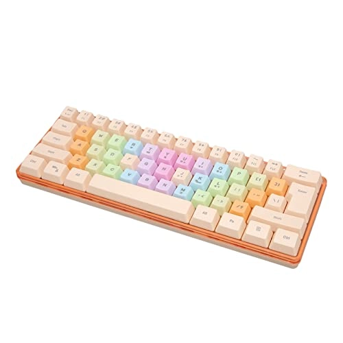 61 Keys Mechanical Keyboard