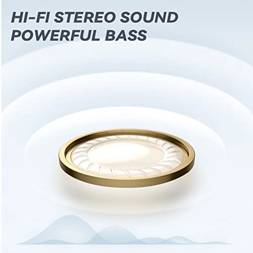 Live Pods XT80 Wireless Earbud