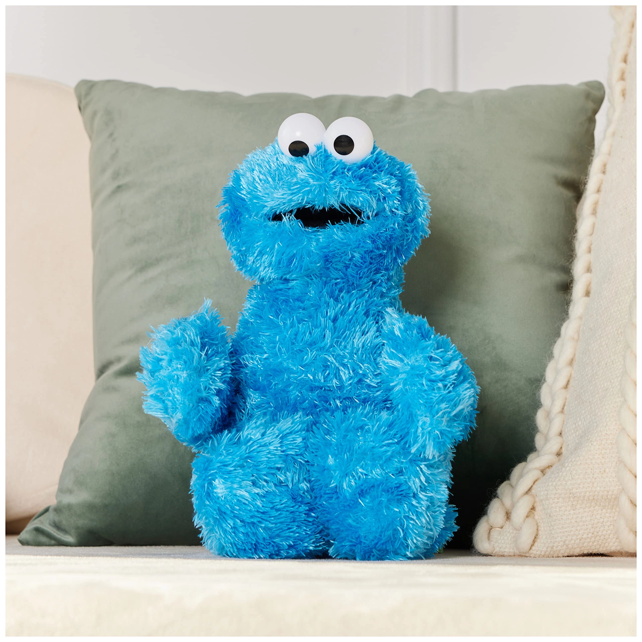 Cookie Monster - 12" Plush