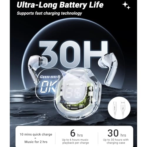 SWBzfm8904416466D Wireless Earbud