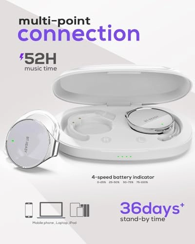 BT-X Wireless Headphone