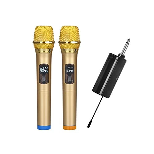 GZDcjsc Wireless Microphone
