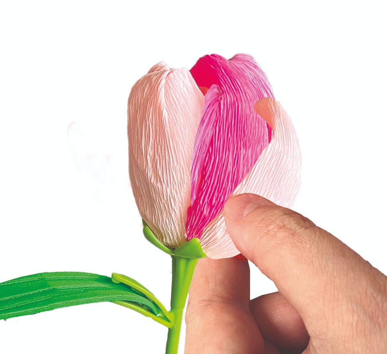 Idea Small Flowers Tulipano - Multi Colour 7+