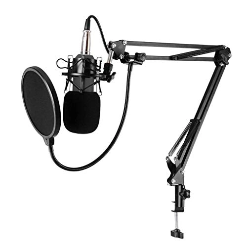 KTV Studio Microphone XLR Microphone