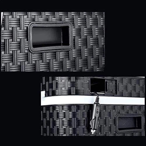 Portable Car Mini Refrigerator - 12V 24V 220V