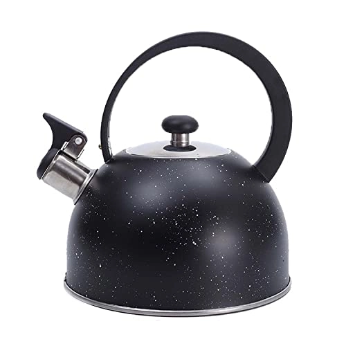 Stainless Steel Kettle - 2.5L