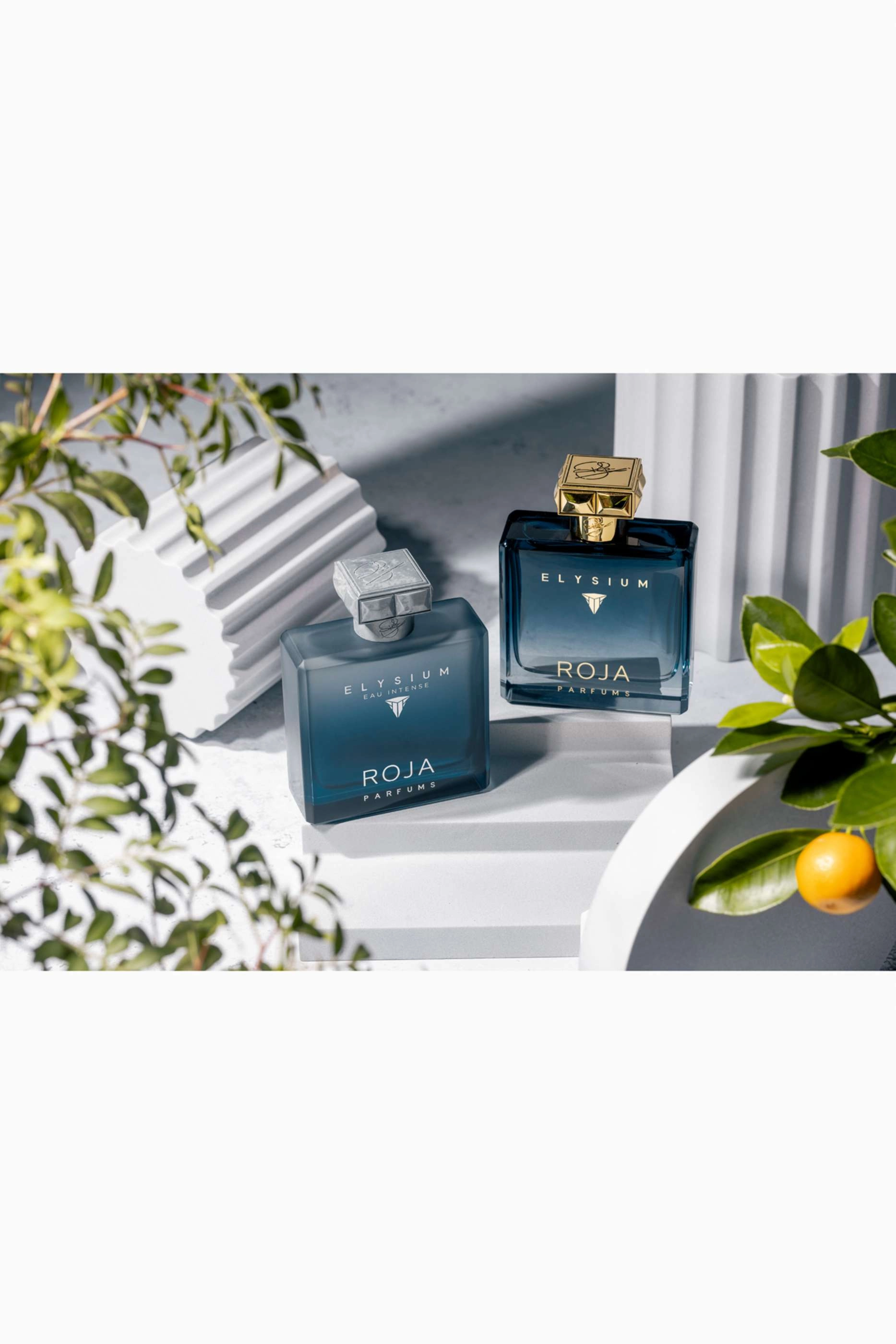 Elysium Eau Intense Eau de Parfum 100ml