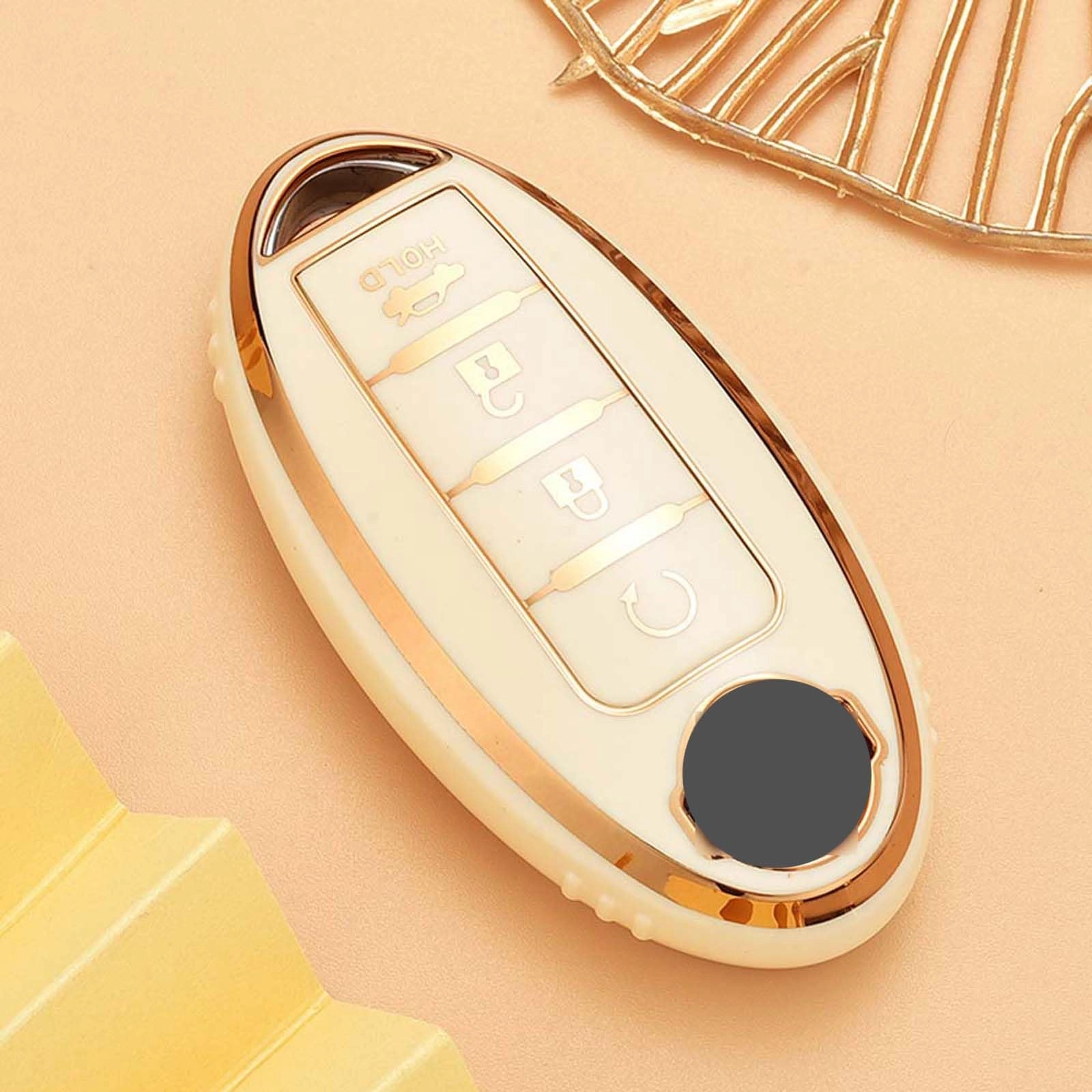 Car key case