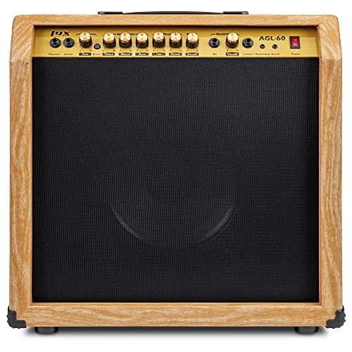 Electric Guitar Amplifier - 60W 10" 4-Ohm Speaker