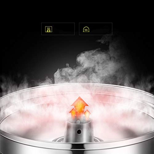 Electric Steamer - 10 Liters