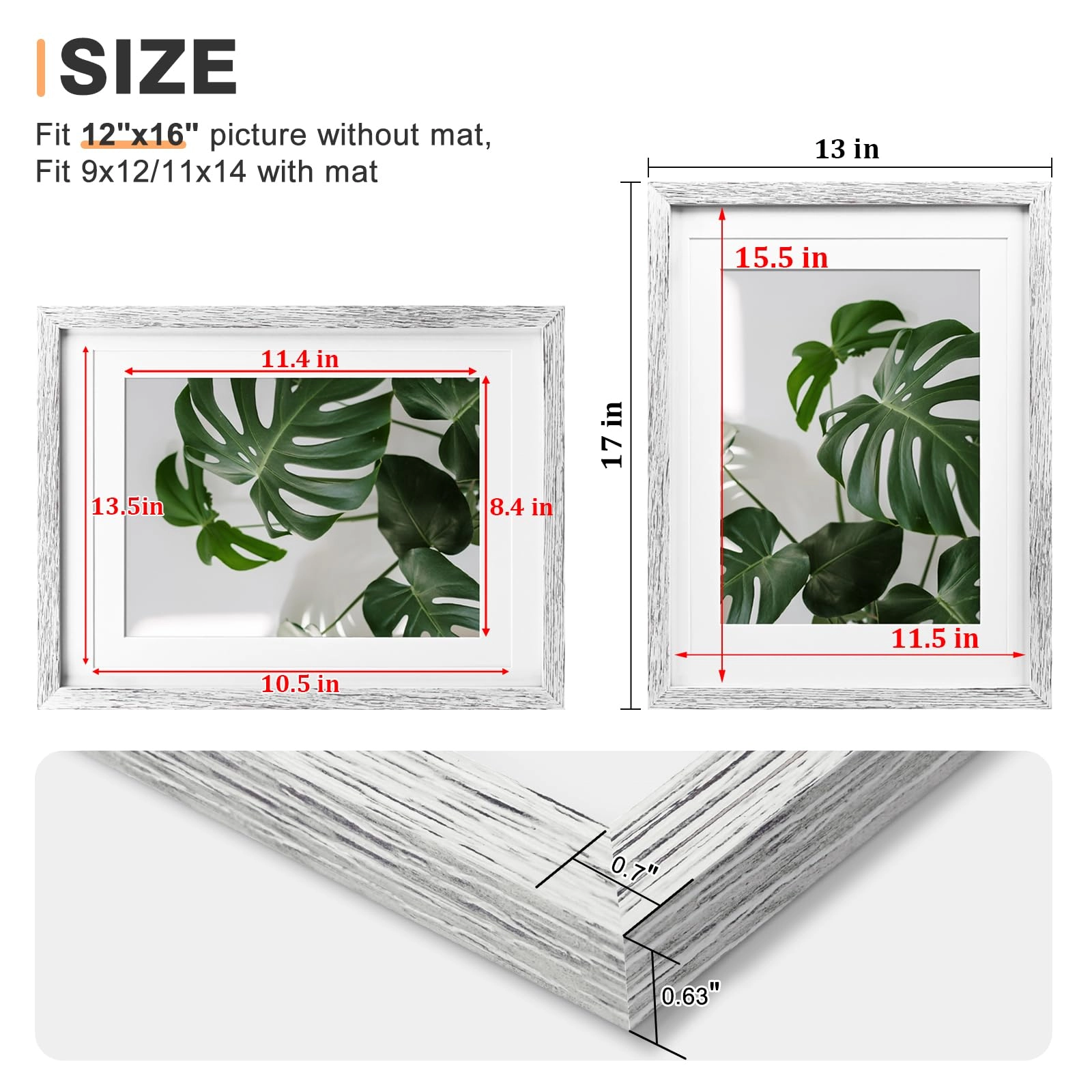 picture frames - 12x16