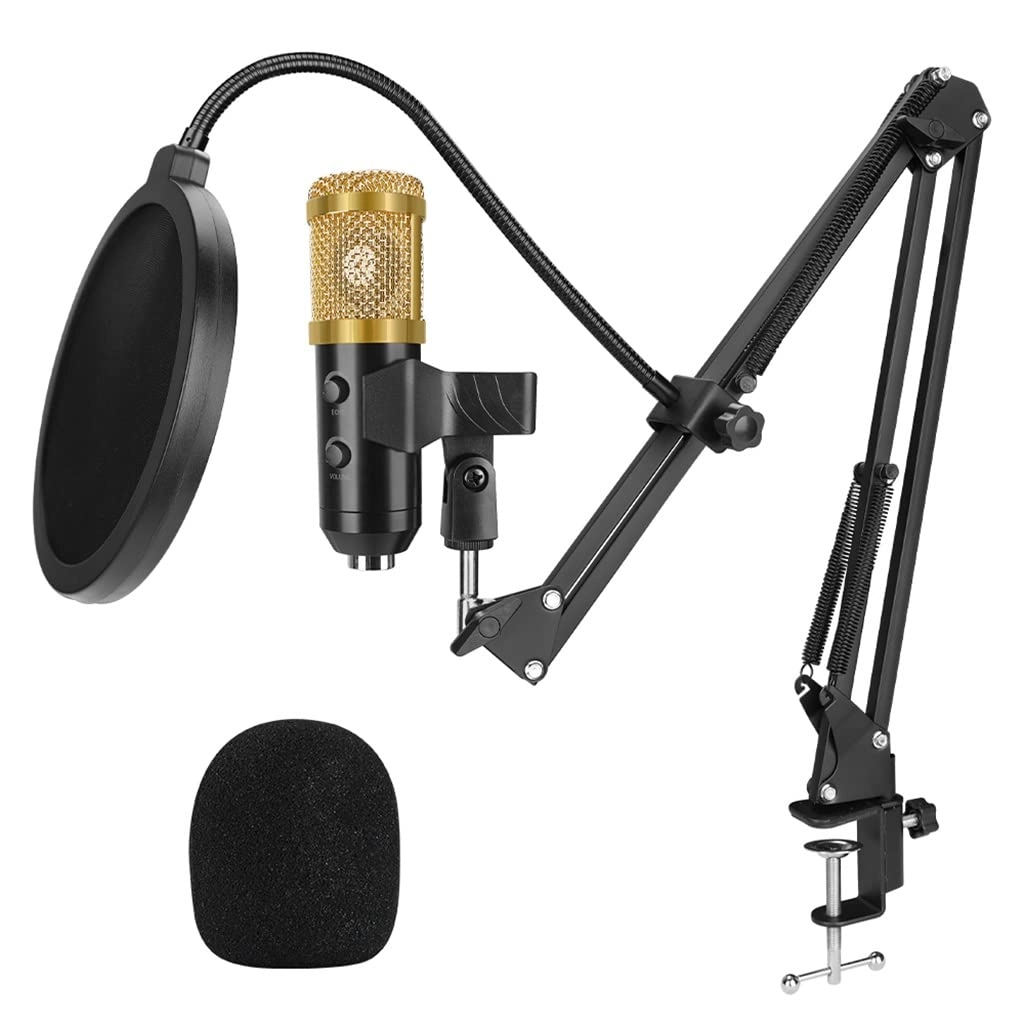 WJYLM Cardioid Condenser USB Microphone