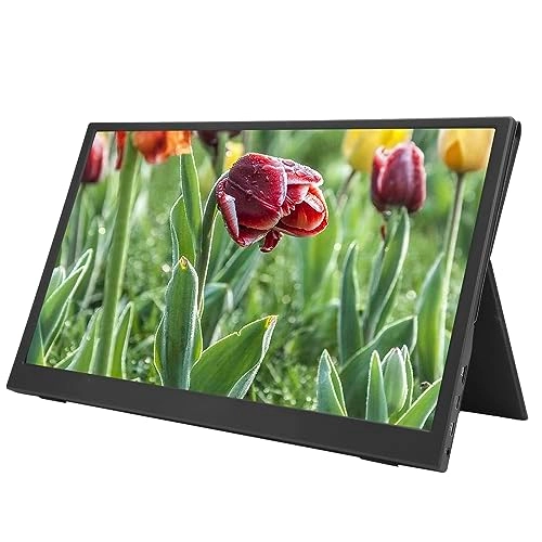 Portable Display - GOWENICuw69o1x7mv 15.6inch 1920x1080