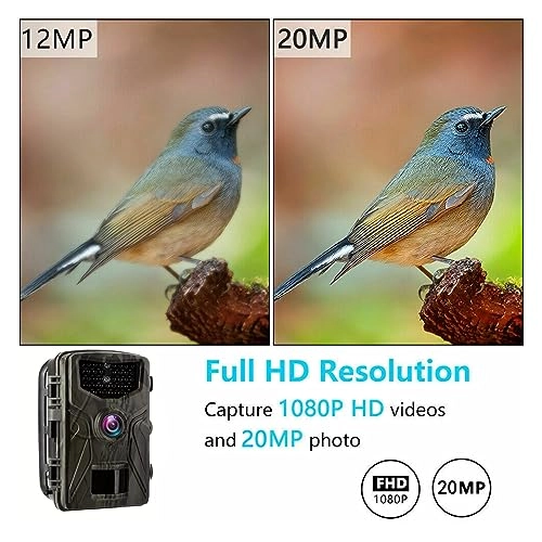 Wildlife Camera - 5MP