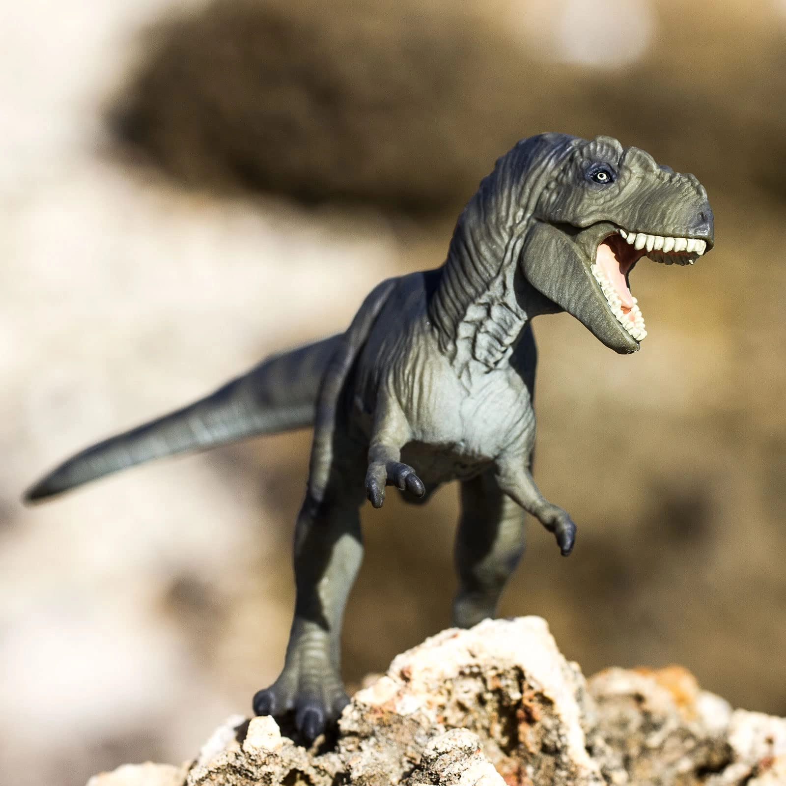 Dinosaur - Tyrannosaurus Rex