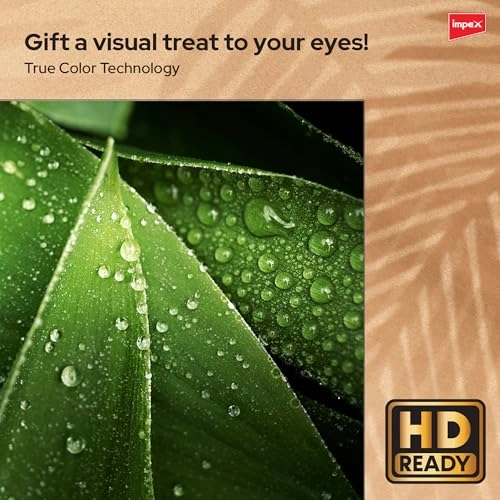 GLORIA 32 SMART - 32 Inches