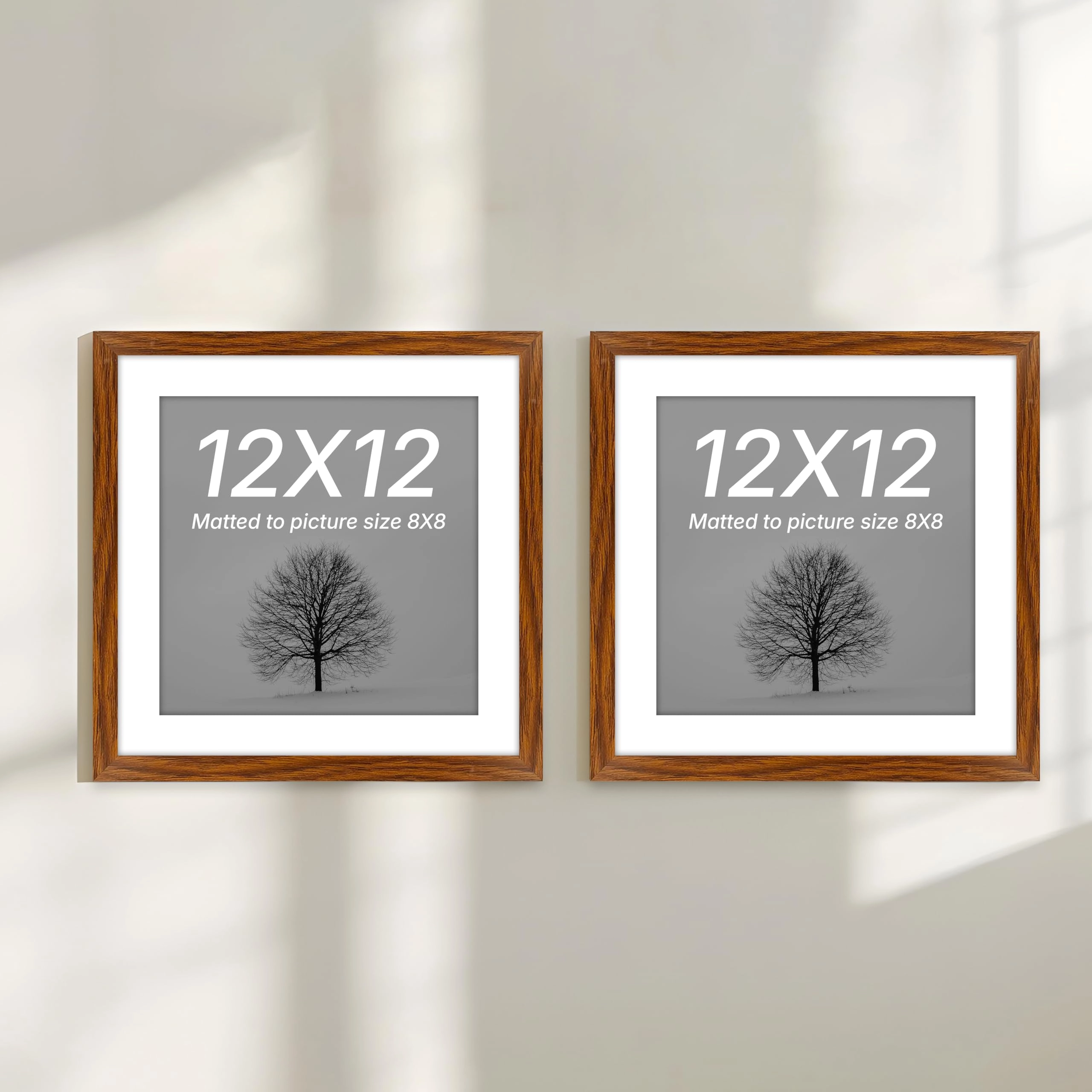 Document Frame - 12x12 Inch