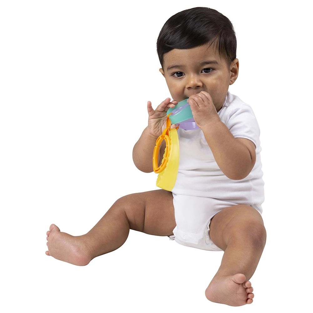 Zen Garden - Suitable for 0 month & above