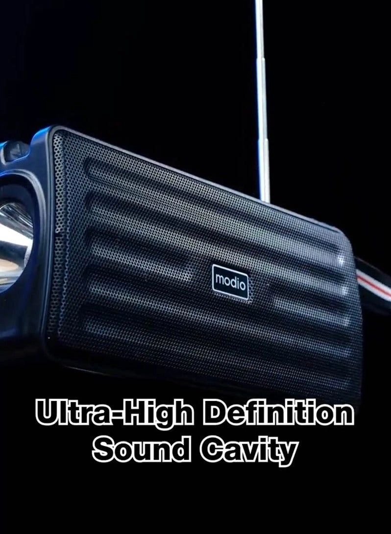 D501 - Solar Flashlight