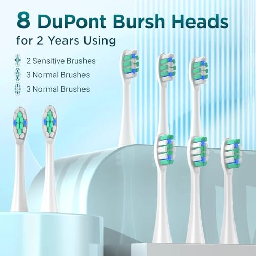 Y02 - 5 Modes 40000VPM 8 Brush Heads