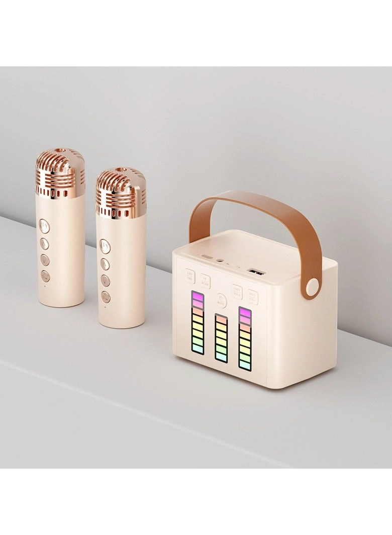 LED Bluetooth Karaoke Speaker - Dual Microphones