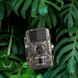 Trail Camera - 1080P Night Vision