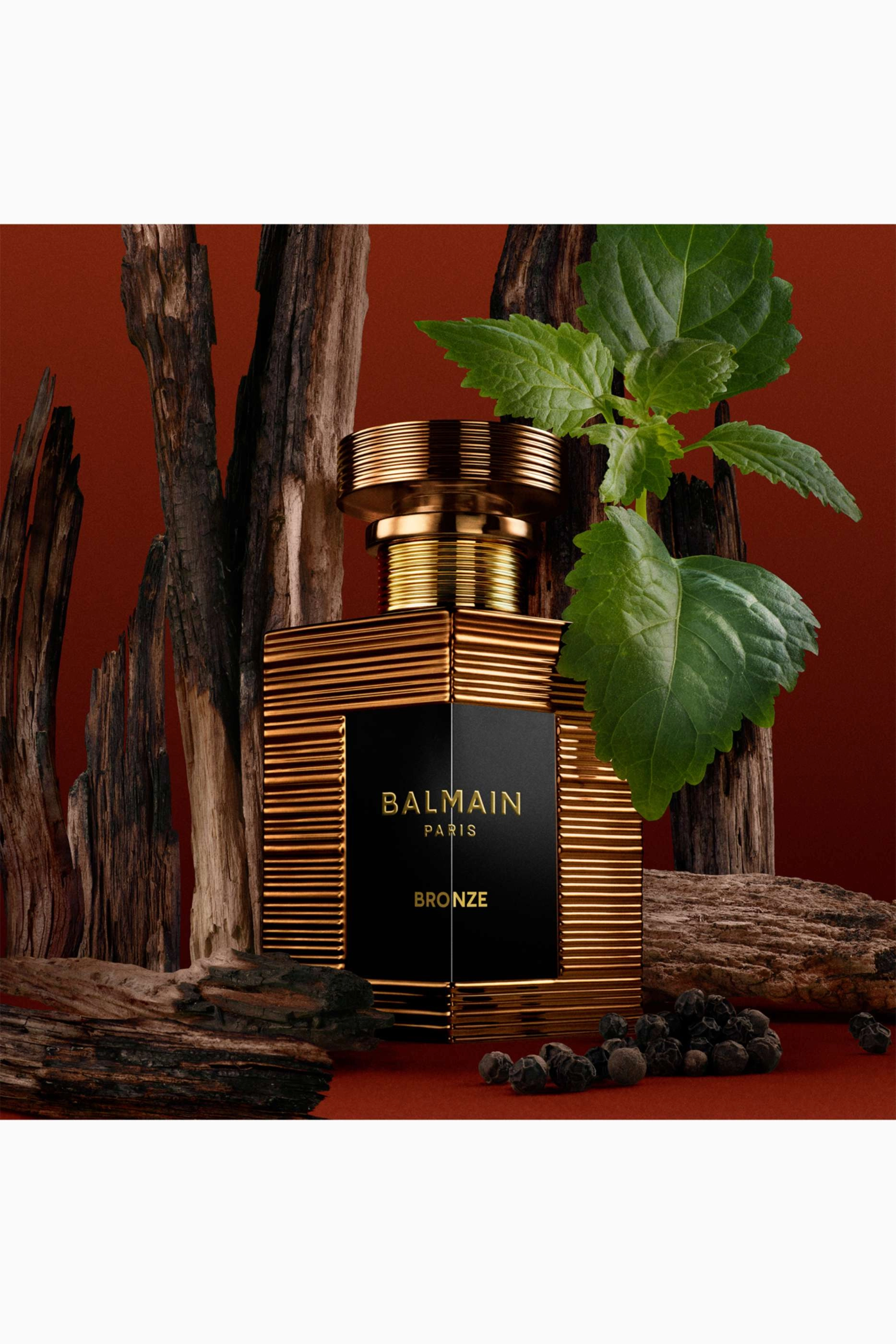 Bronze Eau de Parfum 50ml