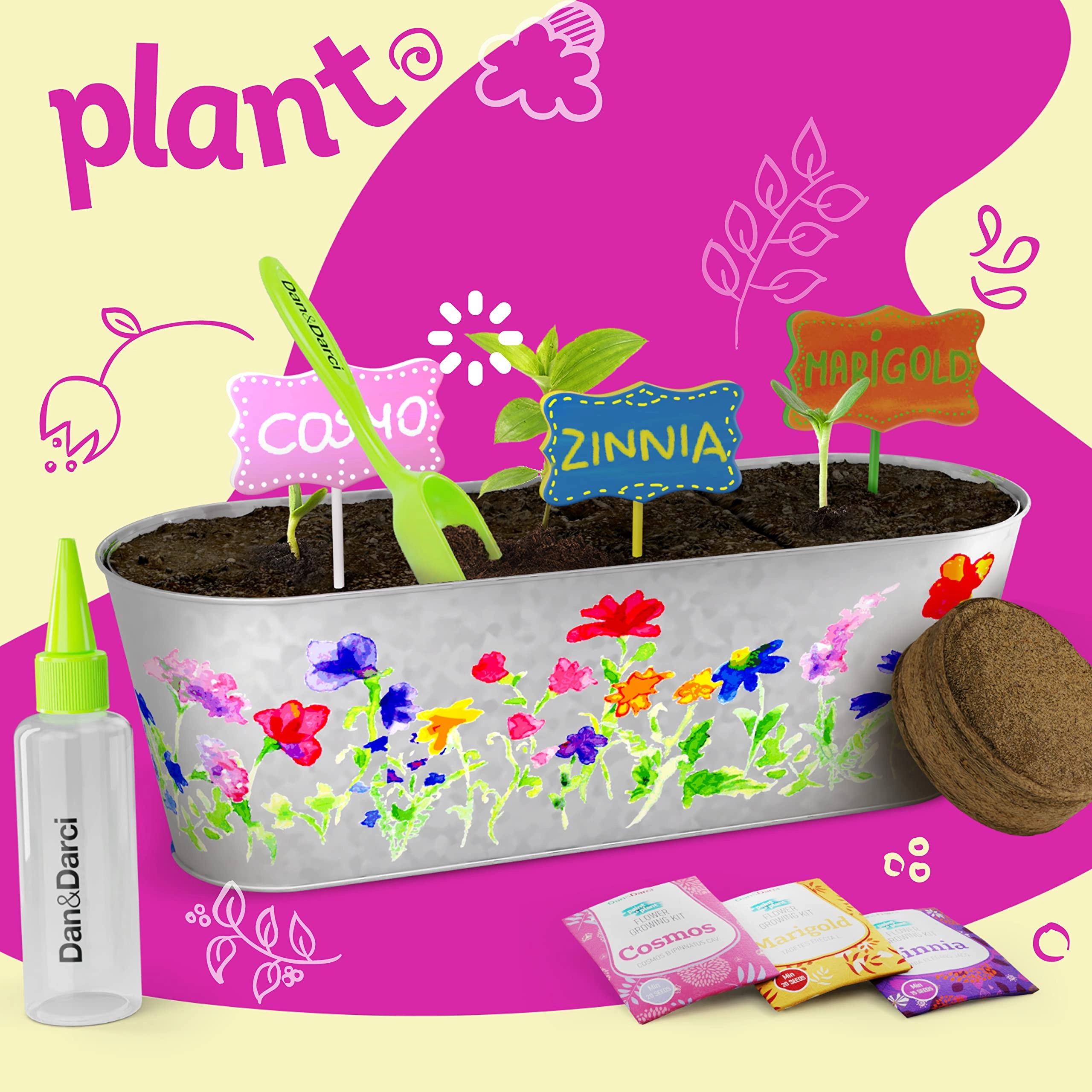 Paint & Plant Flower Growing Kit - 1 piece(s)