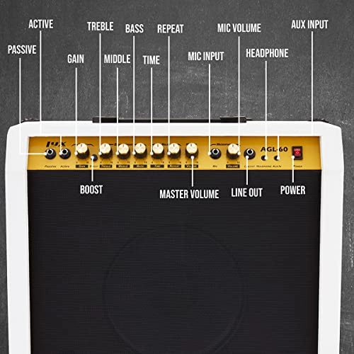 Electric Guitar Amplifier - 60W 10" 4-Ohm Speaker