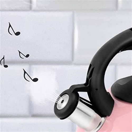 Kettle - Stainless Steel Auburn