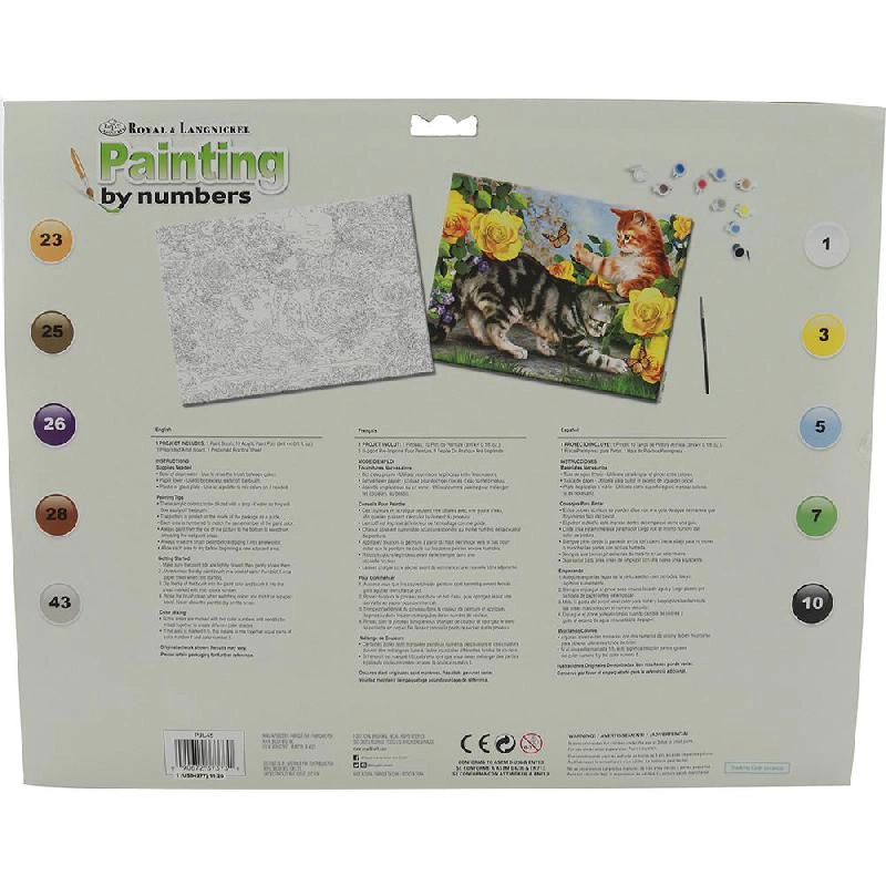 Kitten Playing - 10 Paint Pot;1 Brush;Board Pattern