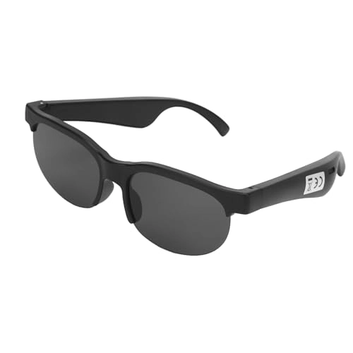 AI Translator Sunglasses