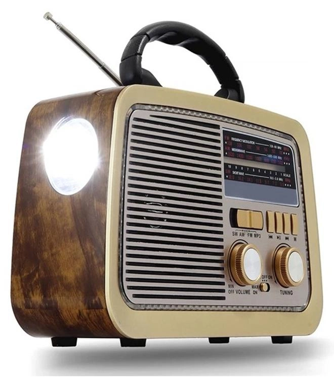 Bluetooth Radio Speaker - FM