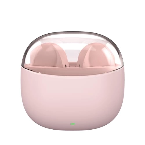 R3006 Wireless Earbud