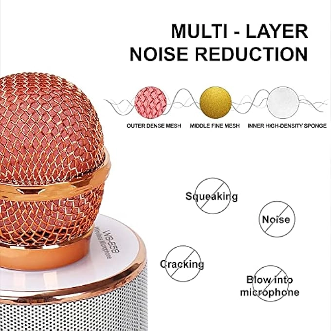 WIRELESS BLUETOOTH MICROPHONE