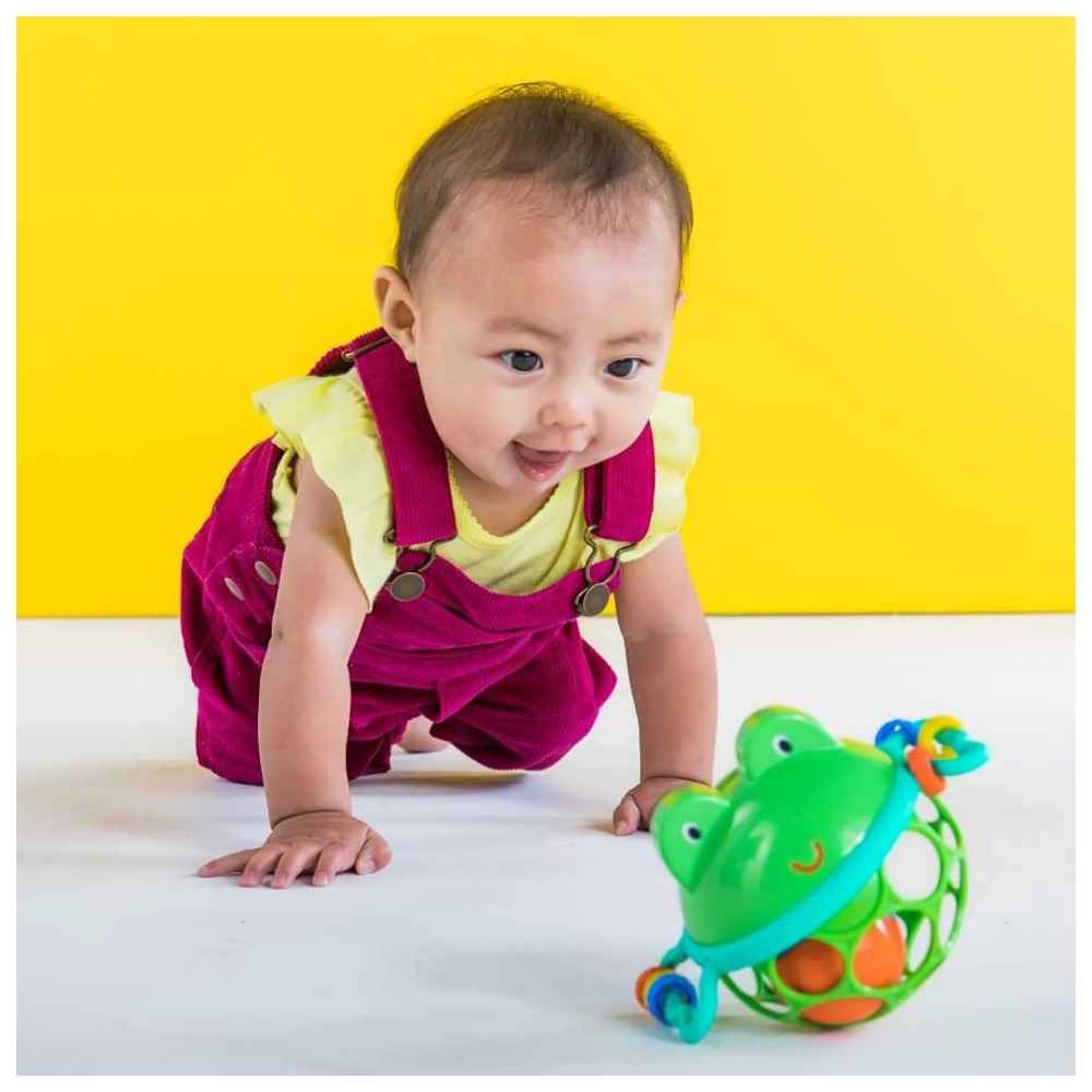 Jingle & Shake Pal - Suitable for 0 to 36 months Signature Oball material