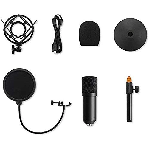 Podcast PC Microphone USB Microphone