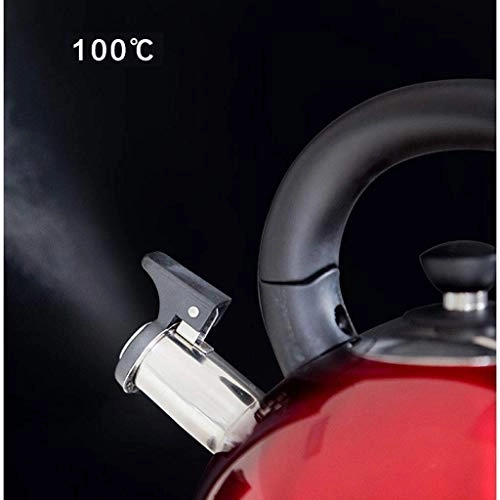 Whistling Kettle - 4L