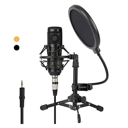 ss1/i46574 USB Microphone