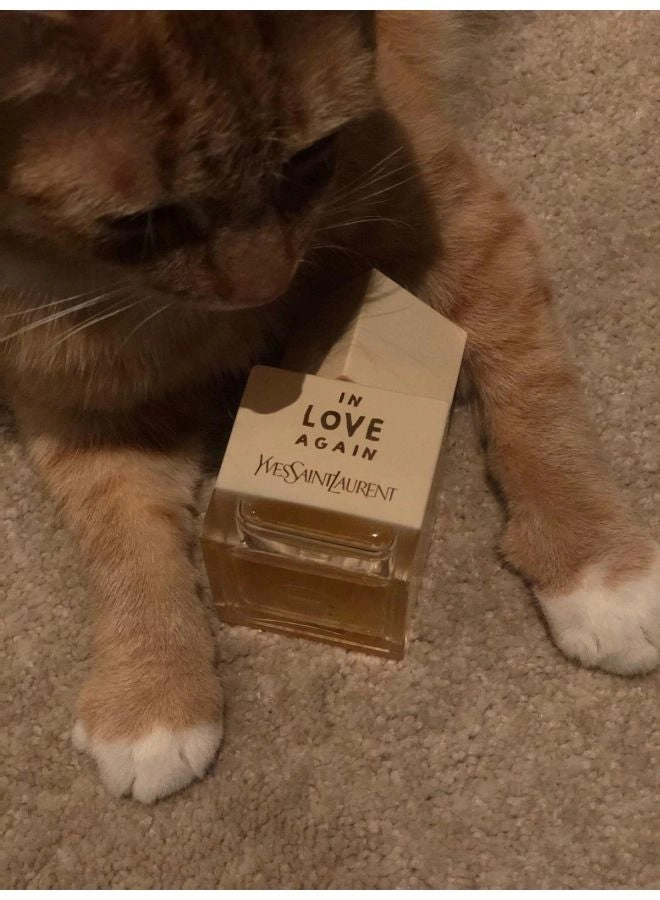 In Love Again - Eau de Toilette 80 ml