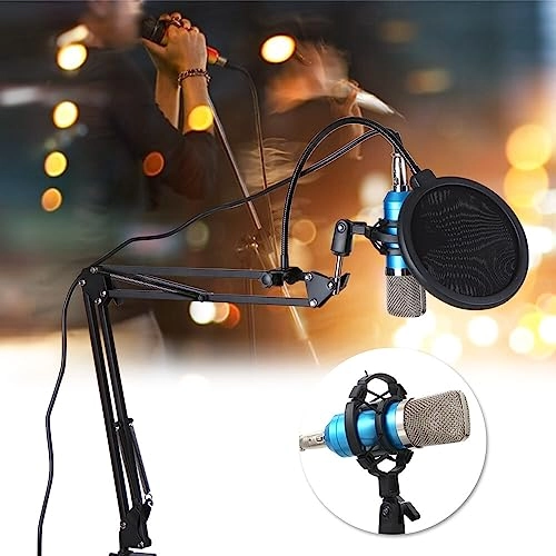 BM700 3.5mm-Mini-Jack Microphone