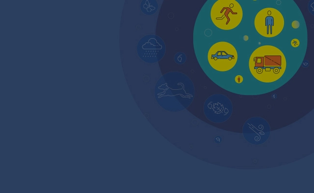 Human and Vehicle Intrusion