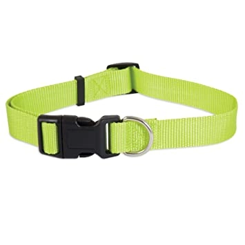 Nylon Adjustable Dog Collar - 5/8"X10-16" Dog
