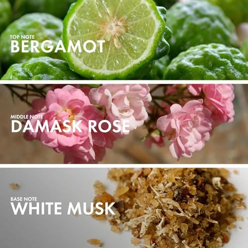 Currant Benzoin Eau de Parfum 50 ml