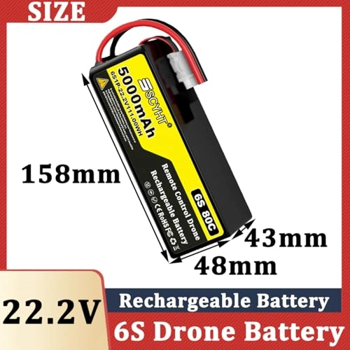 Lipo Battery 6S