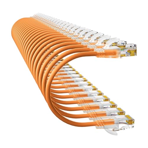 Cat6a Patch Cable - 1ft