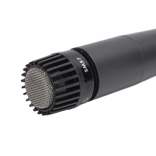 Denashqzo20gw1sv XLR+USB Microphone
